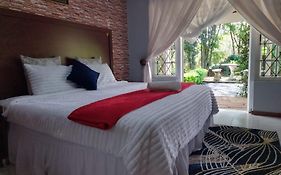 Comrades Oasis Guest House